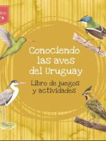 CONOCIENDO LAS AVES DEL URUGUAY